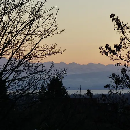 Reh-blick *